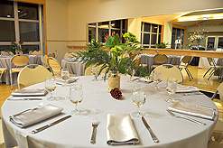 AI2 - ALLEN INSTITUTE HOLIDAY PARTY